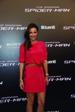 THE AMAZING SPIDERMAN