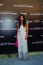 THE AMAZING SPIDERMAN