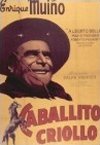 CABALLITO CRIOLLO