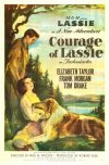 EL CORAJE DE LASSIE