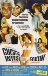 THE GHOST IN THE INVISIBLE BIKINI