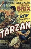 LAS NUEVAS AVENTURAS DE TARZAN