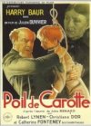 POIL DE CAROTTE