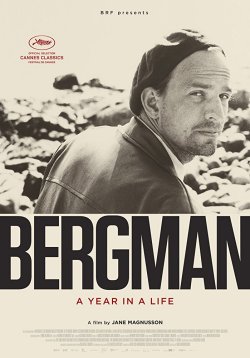 BERGMAN SU GRAN AÑO