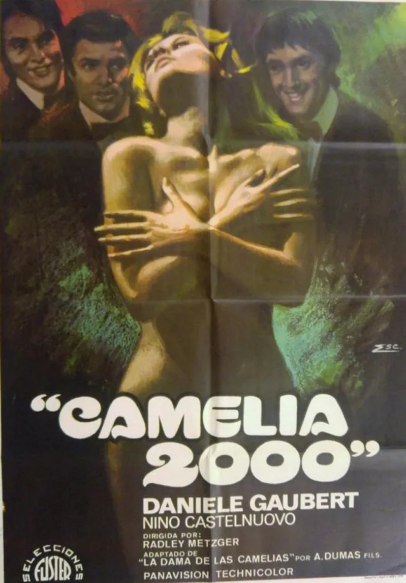 CAMELIA 2000