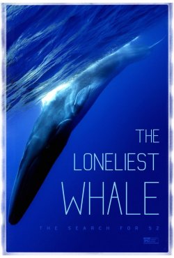 TH ELONELIEST WHALE: THE SEARCH FOR 52