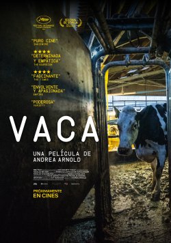 VACA - COW