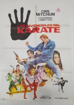 LOS INVENCIBLES DEL KARATE