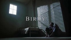 Curiosidades de... BIRDY