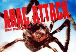 Curiosidades de... ARAC ATTACK