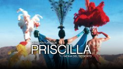 Curiosidades de... LAS AVENTURAS DE PRISCILLA REINA DEL DESIERTO