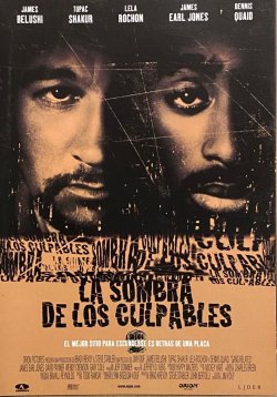 LA SOMBRA DE LOS CULPABLES