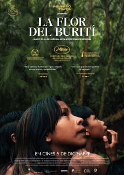 LA FLOR DE BURITI