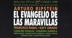 Curiosidades de... EL EVANGELIO DE LAS MARAVILLAS