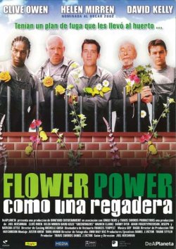 FLOWER POWER (COMO UNA REGADERA)