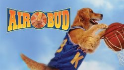 La saga de... AIR BUD