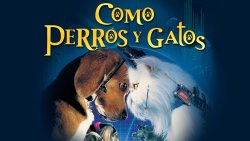 La saga de... COMO PERROS Y GATOS