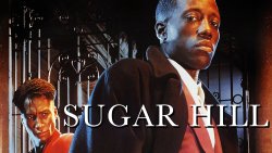 Curiosidades de... SUGAR HILL