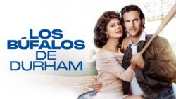 Curiosidades de... LOS BUFALOS DE DURHAM