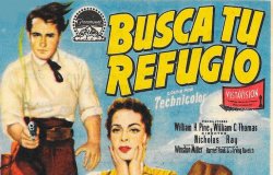 Curiosidades de... BUSCA TU REFUGIO