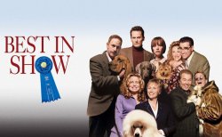 Curiosidades de... VERY IMPORTANT PERROS Curiosidades de... VERY IMPORTANT PERROS