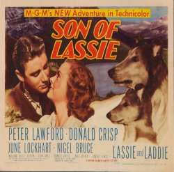 EL CACHORRO DE LASSIE