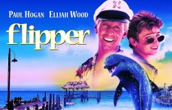 Curiosidades de... FLIPPER