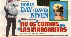 Curiosidades de... NO OS COMAIS LAS MARGARITAS