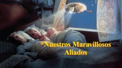 Curiosidades de... NUESTROS MARAVILLOSOS ALIADOS