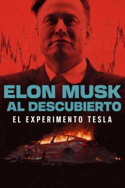 ELON MUSK AL DESCUBIERTO