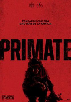 PRIMATE