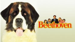 La saga de... BEETHOVEN