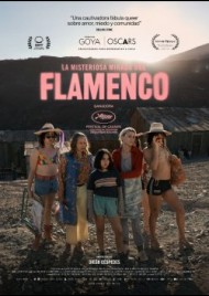 La misteriosa mirada del flamenco (2025)